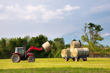 Naklejka premium Tractor lifting hay bale