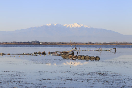 Etang et Canigou