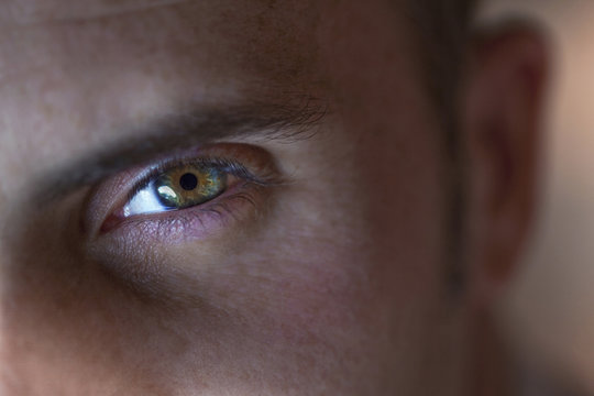 &OElig;il, portrait, visage, homme, jeune, regard, expression