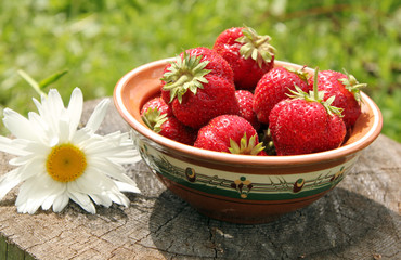 Спелые ягоды земляники в глиняной тарелке