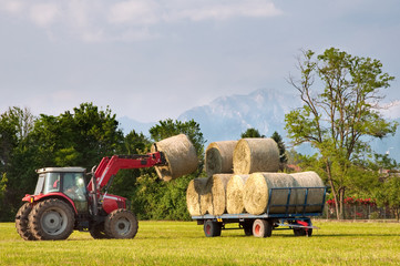 Tractor lifting hay bale on barrow