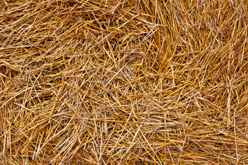 Closeup of hay background