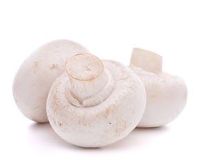 Champignon mushroom