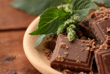 Pieces of chocolate and mint
