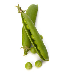 Fresh green pea pod