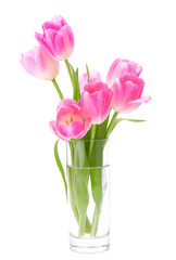 Pink tulips bouquet in vase isolated on white background