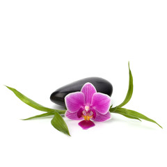 Naklejka premium Spa and healthcare concept. Orchid and stones.