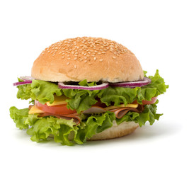 Junk food hamburger