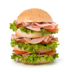 Junk food hamburger