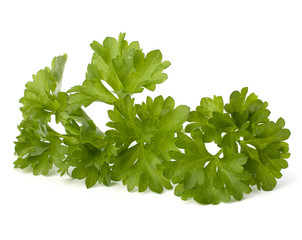 Parsley herb