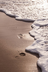 Foot prints at sand in sunset
