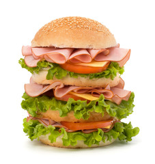 Junk food hamburger