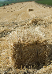 Bale of straw