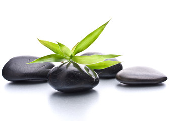 Zen pebbles. Stone spa and healthcare concept.
