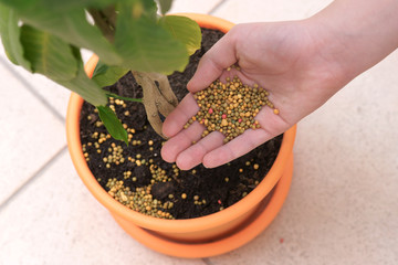 Fertilization of plants