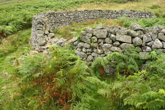 dry stone sheepfold