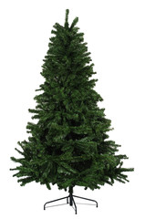 Christas tree. © Luisa Leal
