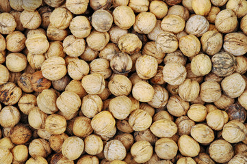 Fresh walnuts