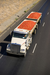 Transport Truck