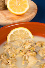 Clams