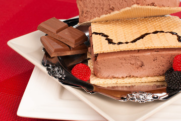 Ice cream sandwich