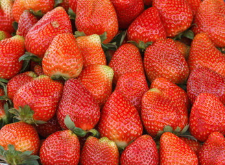 Fresh strawberry