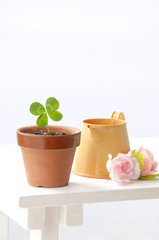 四つ葉のクローバーとジョウロ