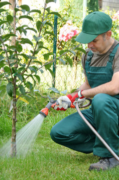 G&auml;rtner mit Gartenschlauch