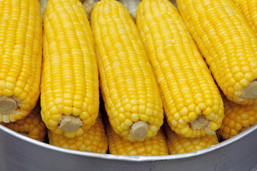 corn cobs in a basket