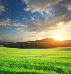 Green meadow in mountain.