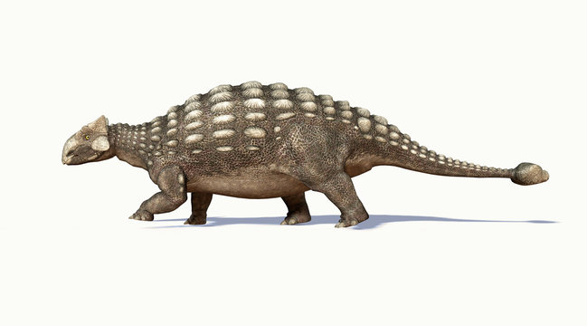 Photorealistic 3 D rendering of an Ankylosaurus. Side view.