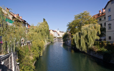 Fototapeta na wymiar Budynki wzdłuż rzeki w Lublanie i wierzb płaczących na brzegach