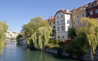 Edifici lungo il fiume a Lubiana e i salici piangenti sulle rive