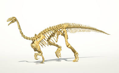 Plateosaurus dinosaur, full photo-realistic skeleton, scientific