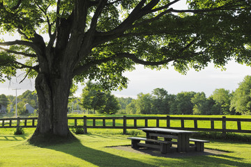 Picknick