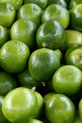 Limes