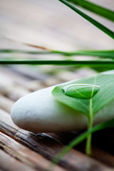 Zen stones