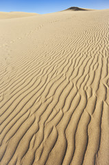 Las Dunas de Maspalomas, dunes at Gran Canaria