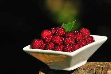 Japanische Weinbeere