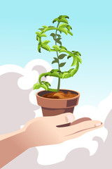 Hand holding a money dollar tree