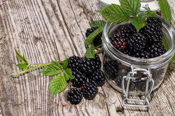 Glass filled with fresh Blackberries