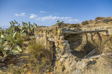Ruinas con pencas