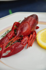 Flusskrebs im Gourmetrestaurant