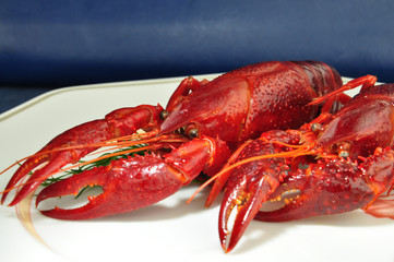 Flusskrebs im Gourmetrestaurant