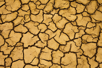 dry ground in countryside Thailand
