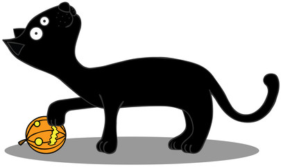 Black cat playing with pumpkin ball