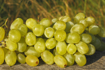 Weintrauben
