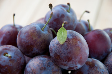 Close-up of freshly harvested organic plums, studio shot