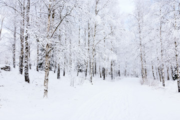 Fototapeta premium Winter footpaths