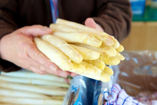 Spargel wei&szlig; 1. Klasse dick